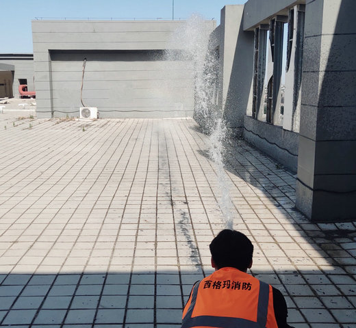 ����ĳ�ǱP�����z�y